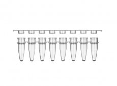 PakGent 0,2ml PCR 8-Strip Tubes